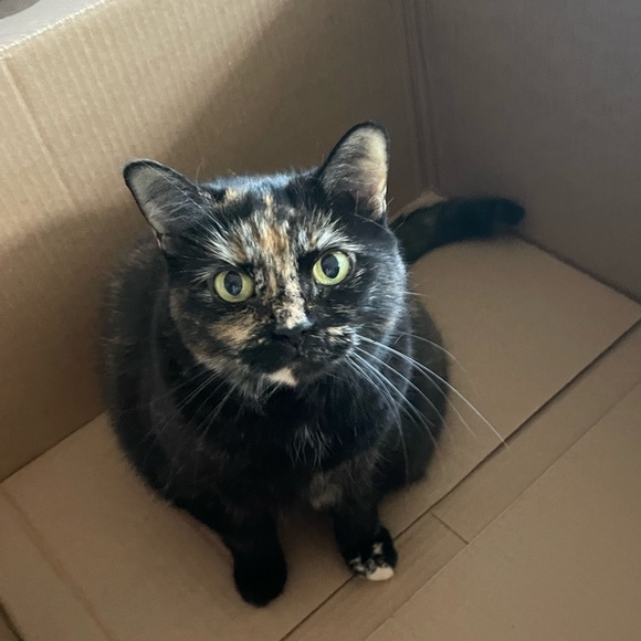 Everything listed after this post is sold! - Picture 5 of 11